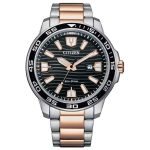 Citizen Eco-Drive Two Tone Stainless Steel Bracelet AW1524-84E