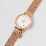 Radley London Duke's Place Rose Gold Stainless Steel Bracelet RY4596-INT