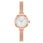 Radley London Ladies Rose Gold Metal Mesh Bracelet RY4604