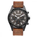 Timberland Demarest Brown Leather Strap TDWGF2100402