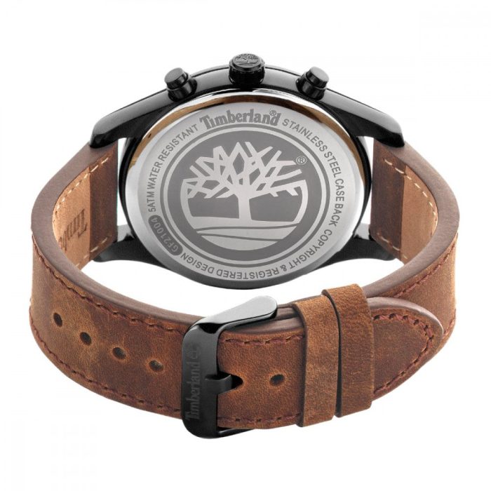 Timberland Demarest Brown Leather Strap TDWGF2100402