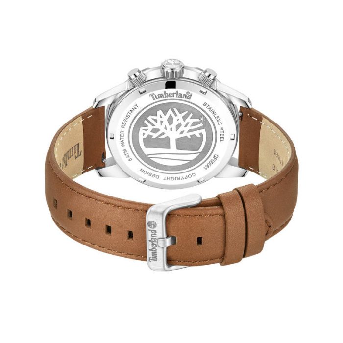 Timberland Hampton Harbour Brown Leather Strap TDWGF0056103