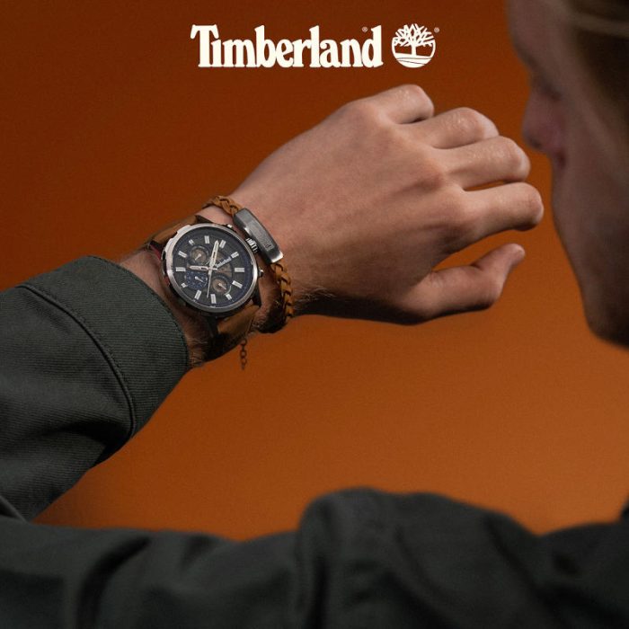 Timberland Hampton Harbour Brown Leather Strap TDWGF0056103