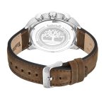 Timberland Henniker II Brown Leather Strap TDWGF2201106