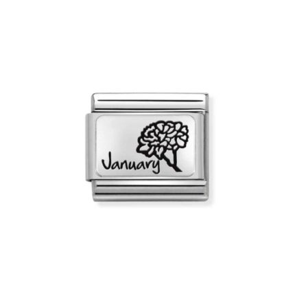 NOMINATION COMPOSABLE CLASSIC LINK JANUARY FLOWER IN STERLING SILVER 330112/13